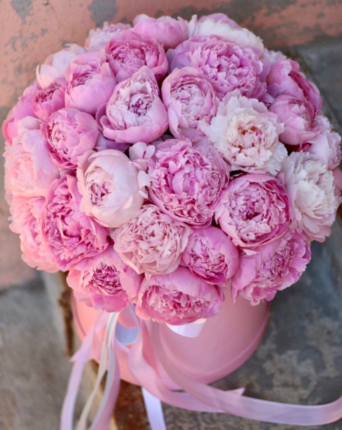 Peonia box