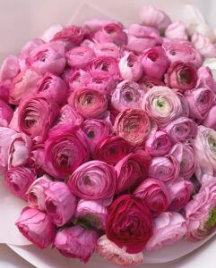 Boglárka natúr csomagolásban